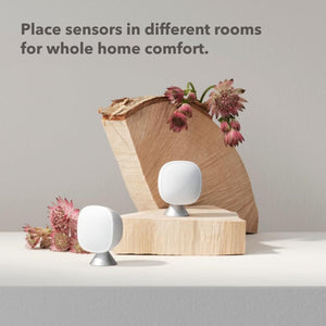 Ecobee SmartSensor 2 Pack Thermostats Accessories Ecobee 